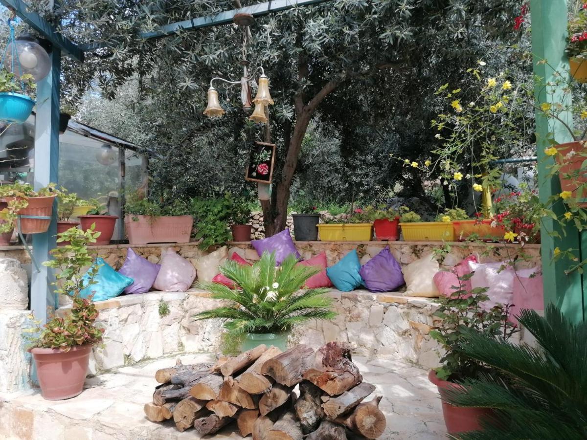 ג'אראש بيت الطبيعة Nature House מראה חיצוני תמונה