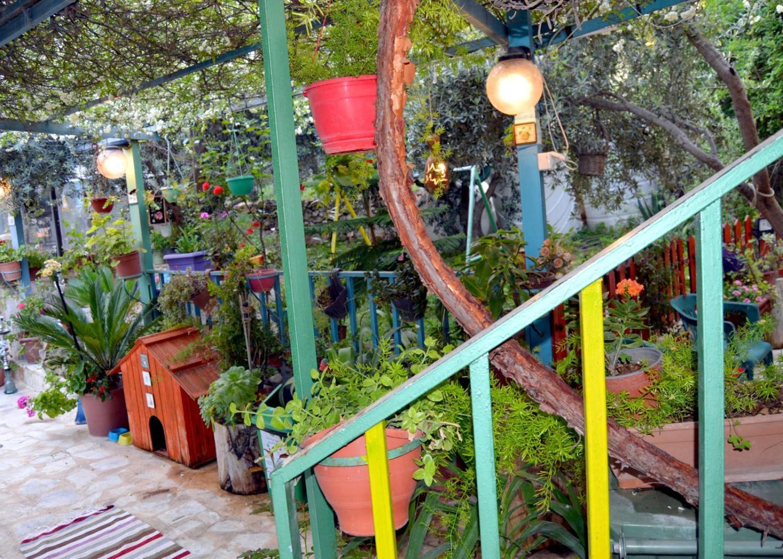 ג'אראש بيت الطبيعة Nature House חדר תמונה