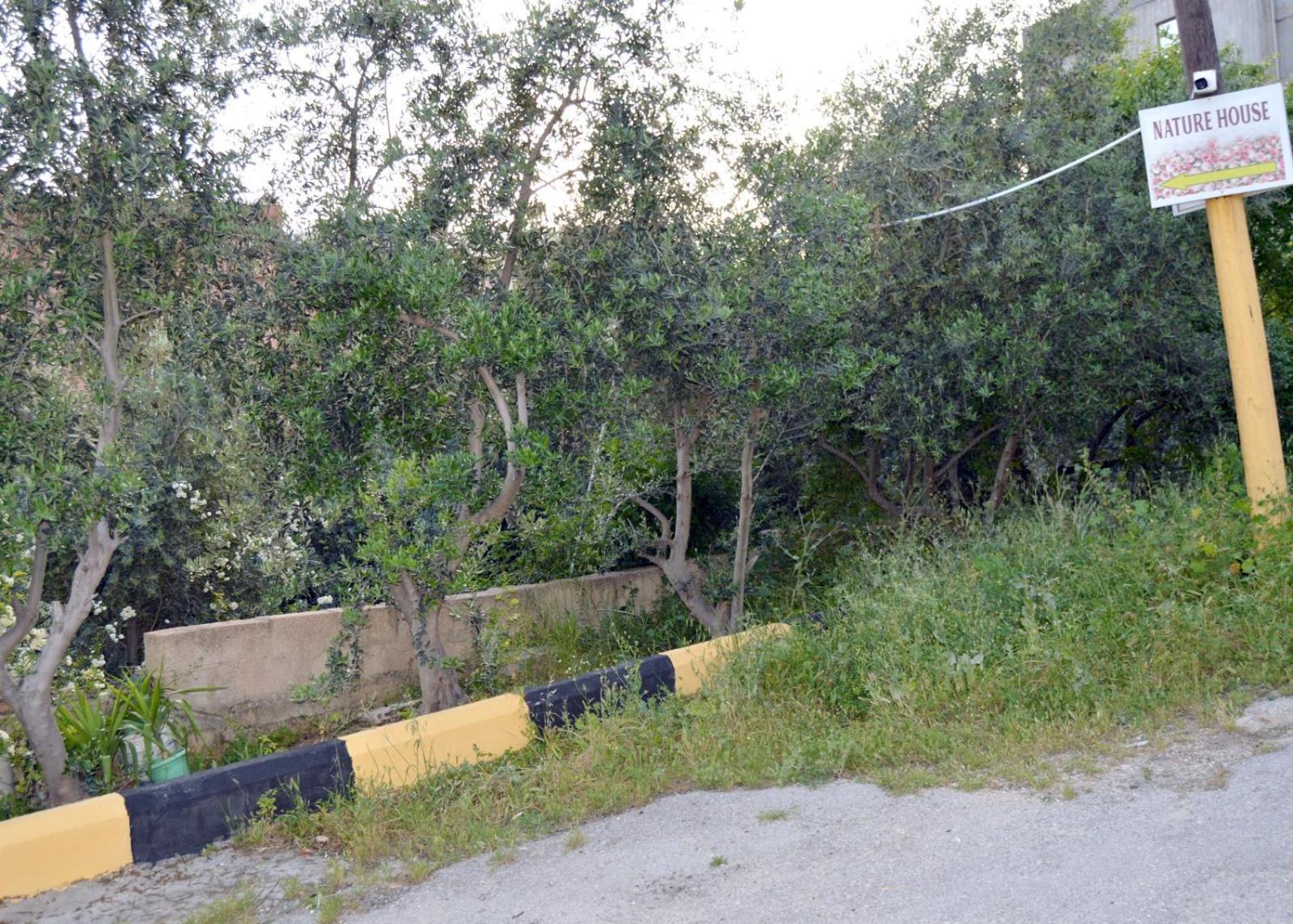 ג'אראש بيت الطبيعة Nature House חדר תמונה